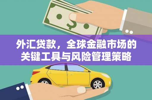 梧栖外汇贷款，全球金融市场的关键工具与风险管理策略