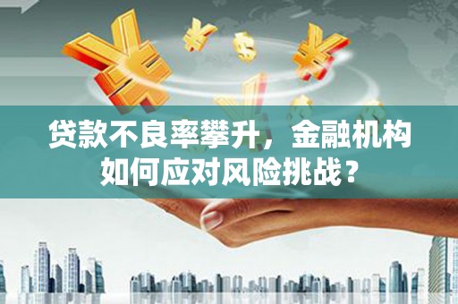 梧栖贷款不良率攀升，金融机构如何应对风险挑战？