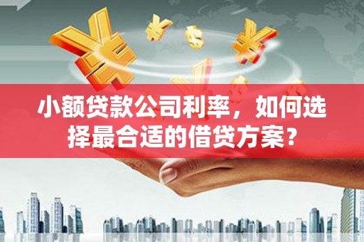 梧栖小额贷款公司利率，如何选择最合适的借贷方案？