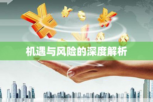 梧栖机遇与风险的深度解析