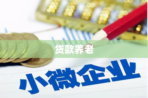 梧栖贷款养老