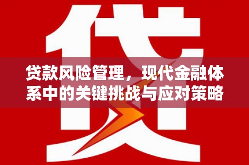 梧栖贷款风险管理，现代金融体系中的关键挑战与应对策略