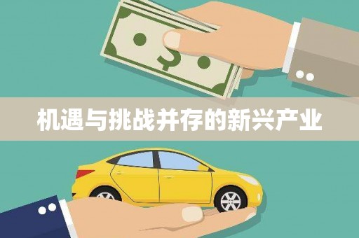 梧栖机遇与挑战并存的新兴产业