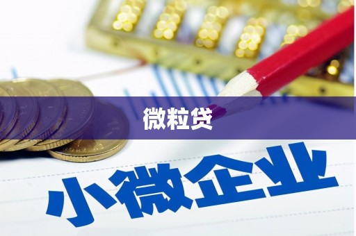 梧栖微粒贷