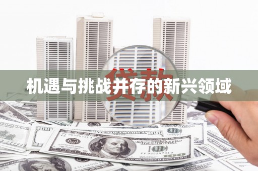 梧栖机遇与挑战并存的新兴领域