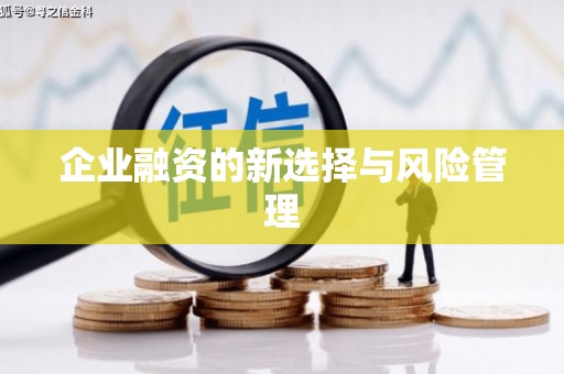 梧栖企业融资的新选择与风险管理