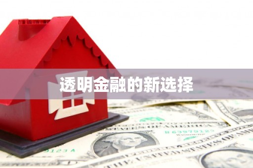 梧栖透明金融的新选择