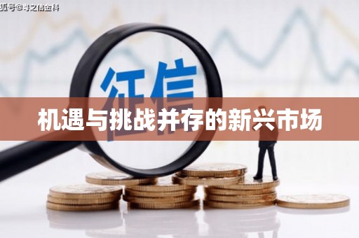 梧栖机遇与挑战并存的新兴市场