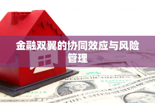 梧栖金融双翼的协同效应与风险管理