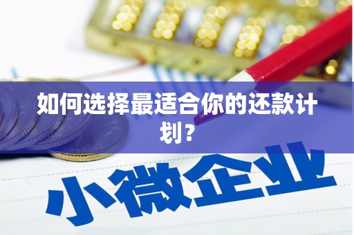 梧栖如何选择最适合你的还款计划？