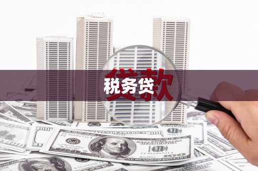 梧栖税务贷